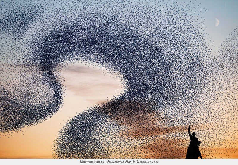 Illustration for article titled Photographer transforms plastic bags into beautiful bird flocks
